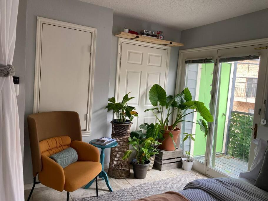 Apartmán Luxury Greenhouse Studio Austin Exteriér fotografie